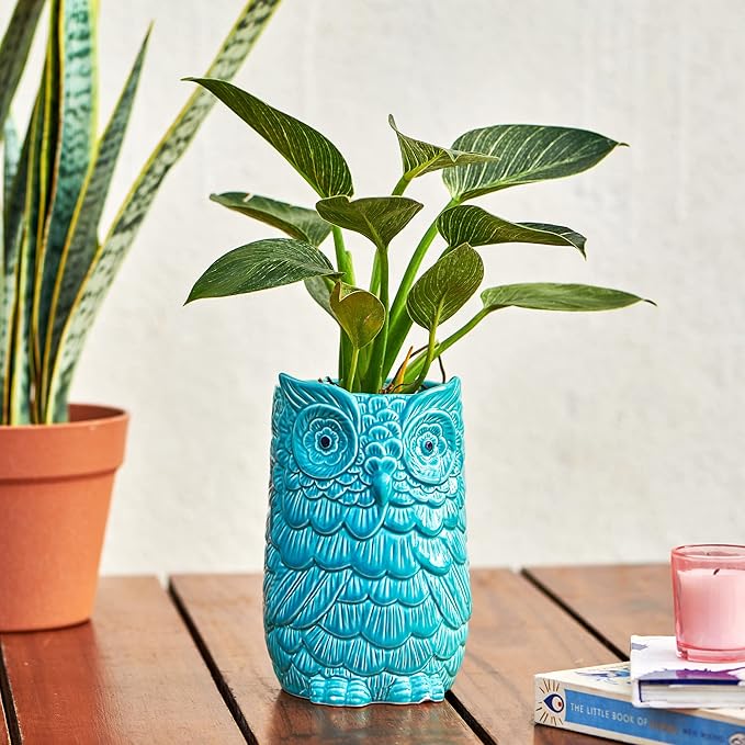 MORWEE OWLoween Mini Planter - Teal