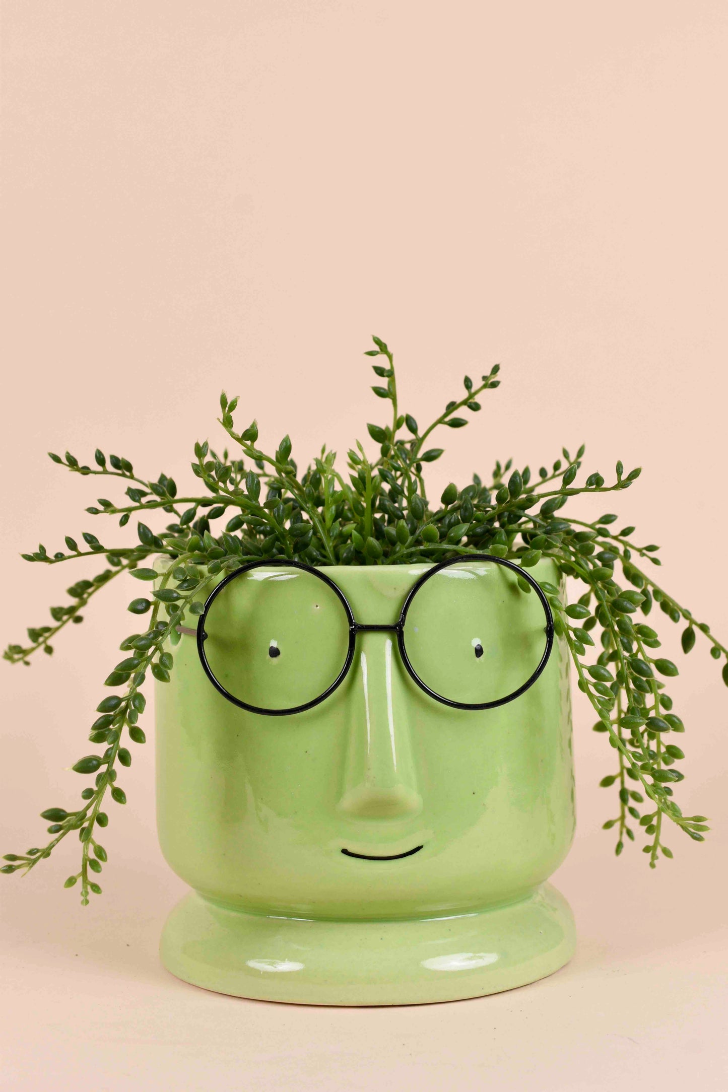 Morwee Modern Face Planter for Home & Living Room Decor (green)