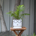 Morwee Face Planter with Glasses Glazed Finish