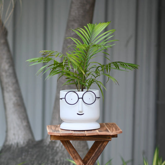 Morwee Face Planter with Glasses Glazed Finish