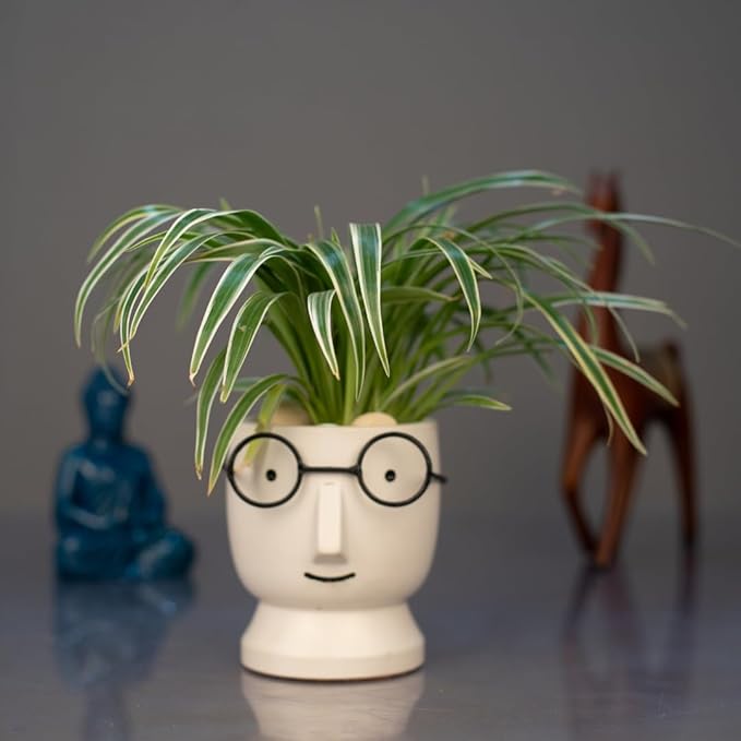 Morwee Face Planter with Glasses Glazed Finish