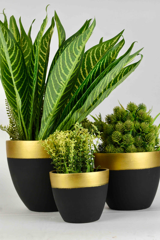 Morwee Designer Ceramic Flower Pot, For Indoor, Size: 6 inches
