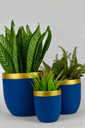 Morwee Designer Ceramic Flower Pot, For Indoor, Size: 6 inches
