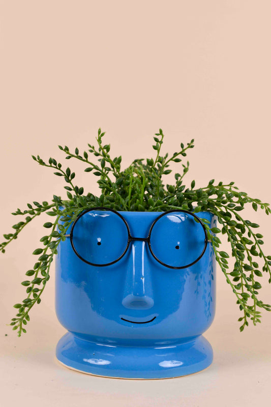Morwee Modern Face Planter for Home & Living Room Decor (Blue)