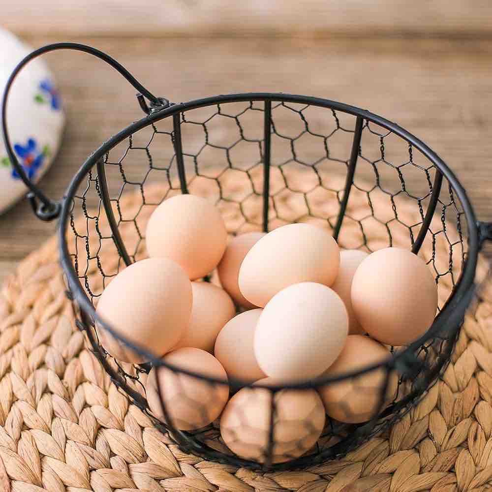MORWEE Hen Shaped Egg Basket Black Wire Egg Storage Basket with Ceramic Top and Handles Good for Gathering Fresh Eggs and Storing Fruit and Snack