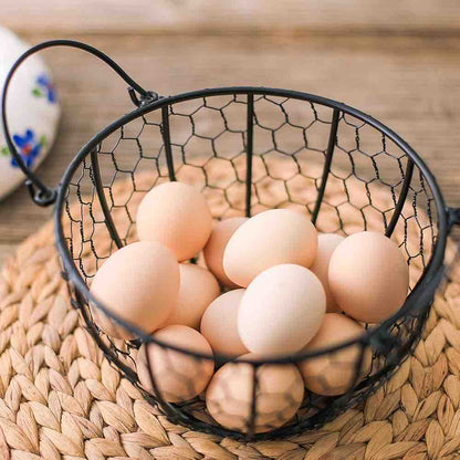 MORWEE Hen Shaped Egg Basket Black Wire Egg Storage Basket with Ceramic Top and Handles Good for Gathering Fresh Eggs and Storing Fruit and Snack